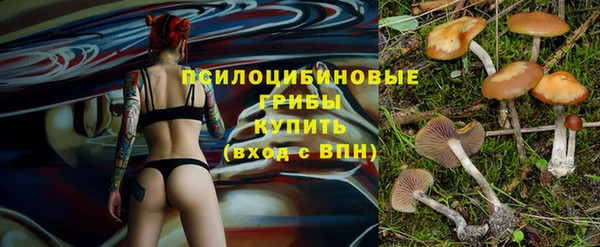 мяу мяу мука Балахна