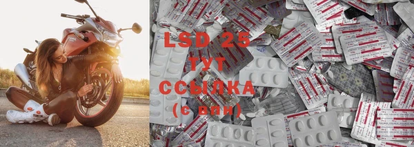 стафф Баксан