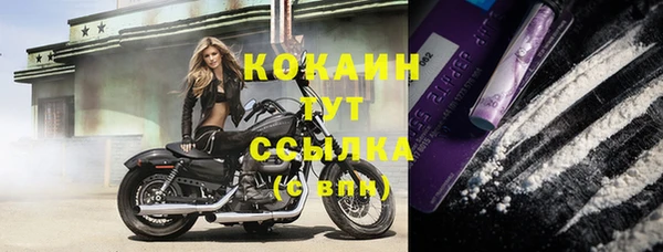 мяу мяу мука Балахна