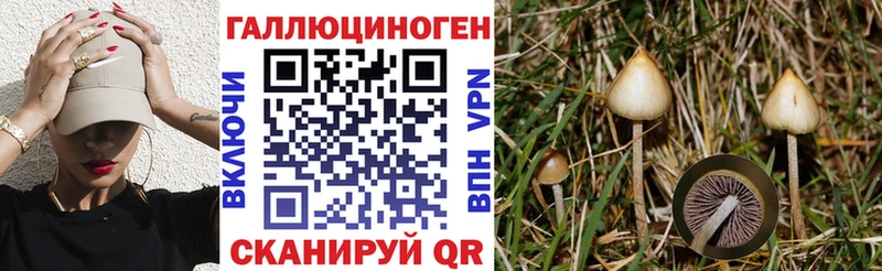 Галлюциногенные грибы Magic Shrooms  Яровое 